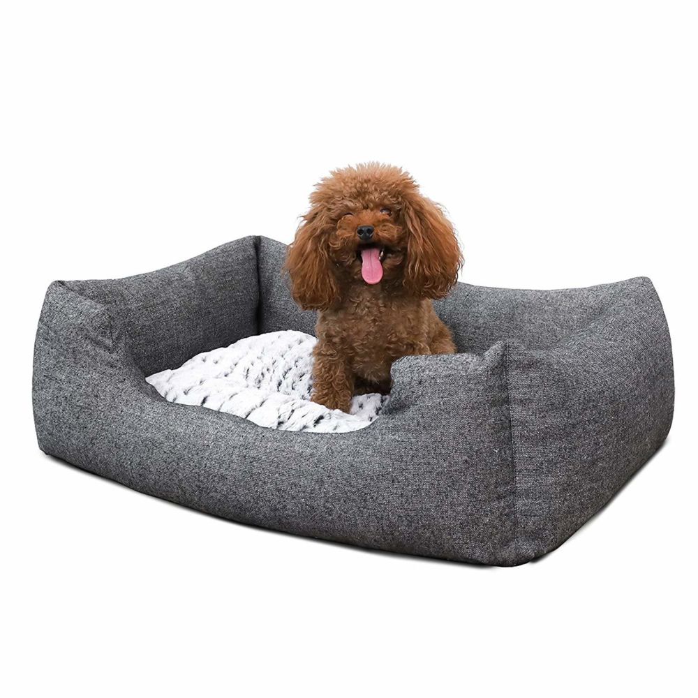 Feandrea - Panier pour Chien Lit S 60 x 50 x 22 cm Dog Bed Coussin Matelas Animaux PGW22G - Corbeille pour chien
