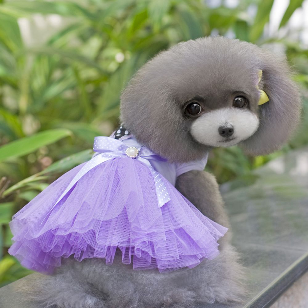 marque generique - animal de compagnie chien tulle jupe en couches princesse robe chemise vêtements vêtements violet s - Vêtement pour chien