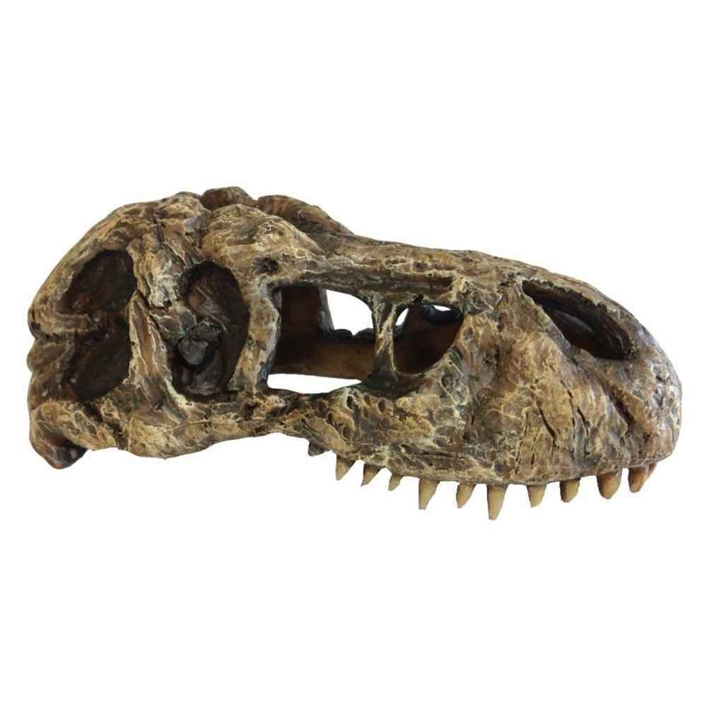 Exo Terra - Décoration Crâne T-Rex Skull Small pour Terrarium - Exo Terra - Terrarium