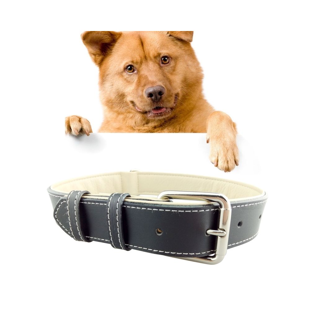 Wewoo - Collier Chien & Chat noir de en cuir Pet Dog Big Dog, taille: L, 2.5 * 51cm - Collier pour chat