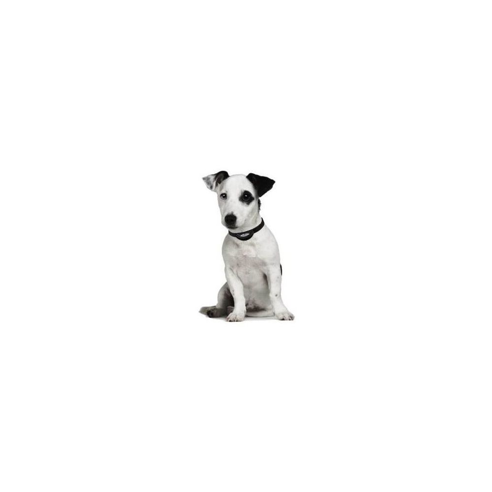 Num'Axes - Collier anti aboiement CANICALM SONIC - Accessoires éducatif pour chien