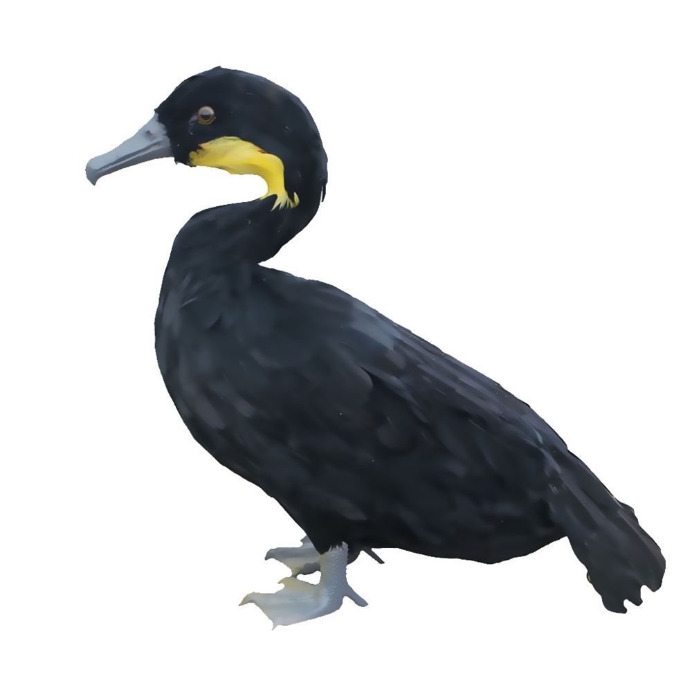 marque generique - réaliste animal animal mini à plumes décor de jardin figure cormoran - Petite déco d'exterieur