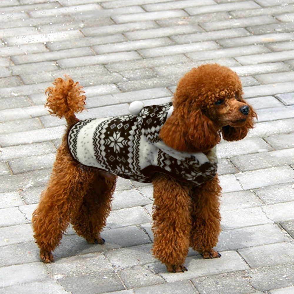 Wewoo - Costume de Noël pour chien en peluche animal de compagniemanteautaille L noir - Vêtement pour chien