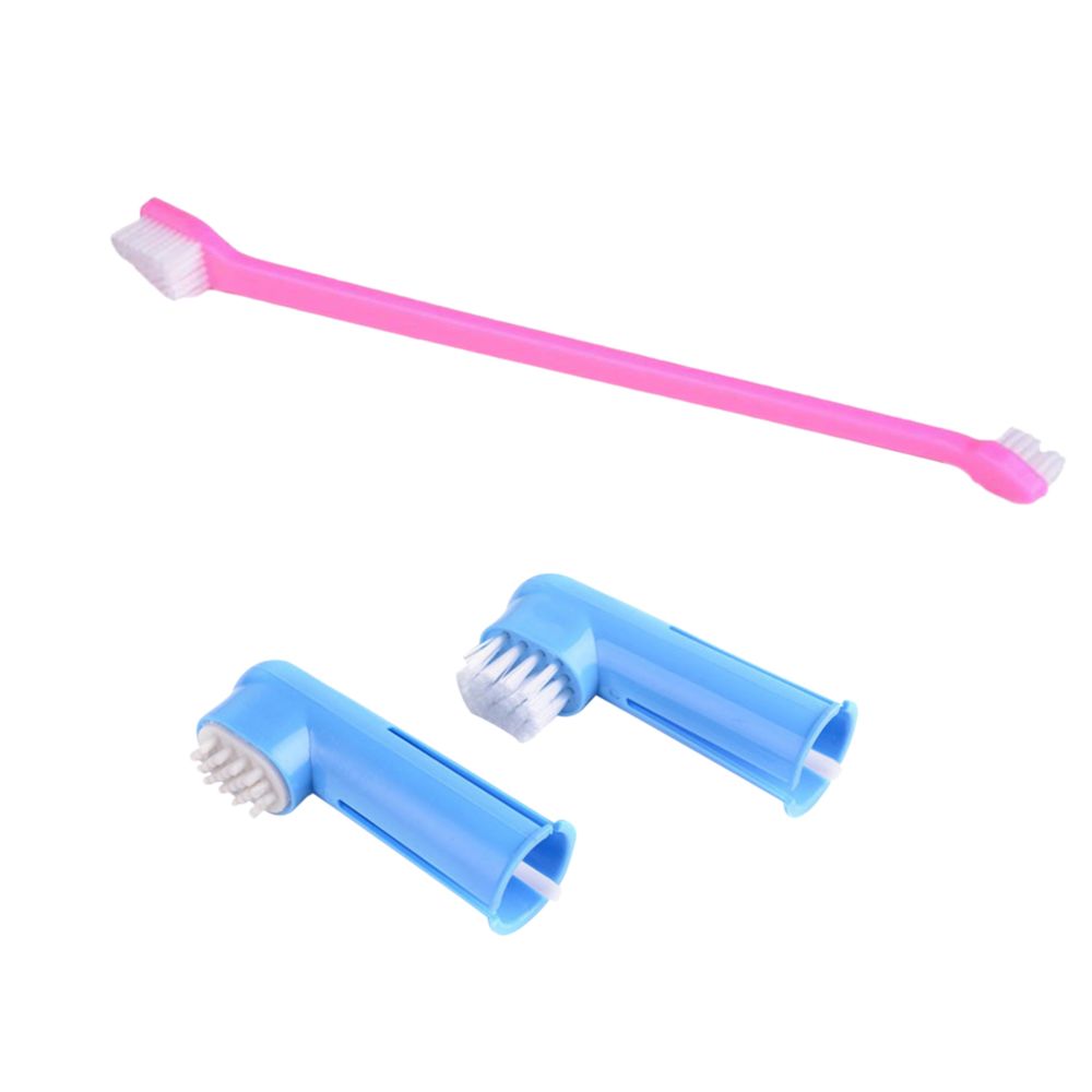 marque generique - brosse à dents pour animaux de compagnie - Soin et hygiène rongeur