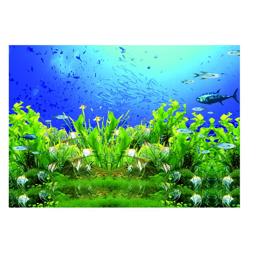 marque generique - affiche de paysage d'aquarium - Décoration aquarium