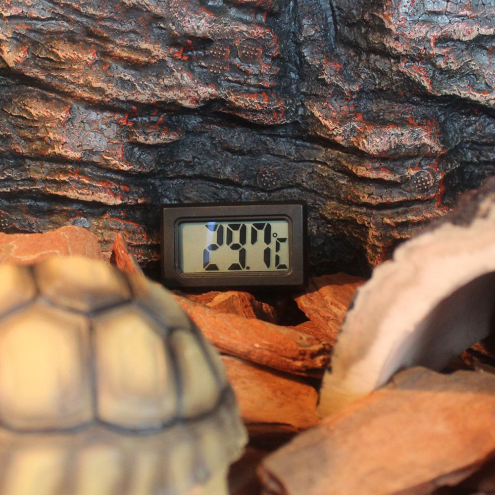 marque generique - thermomètre à reptile - Alimentation reptile
