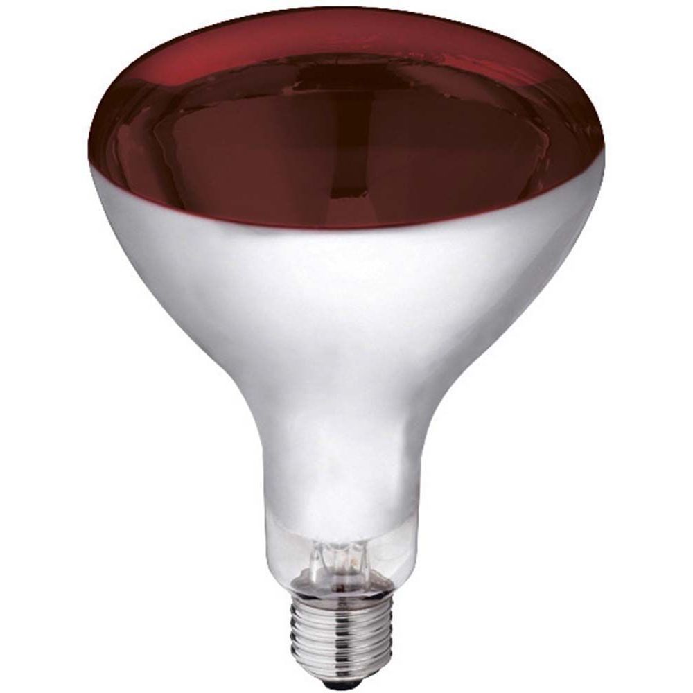Kerbl - Lampe à infrarouge en verre trempé 250 W - Clapier