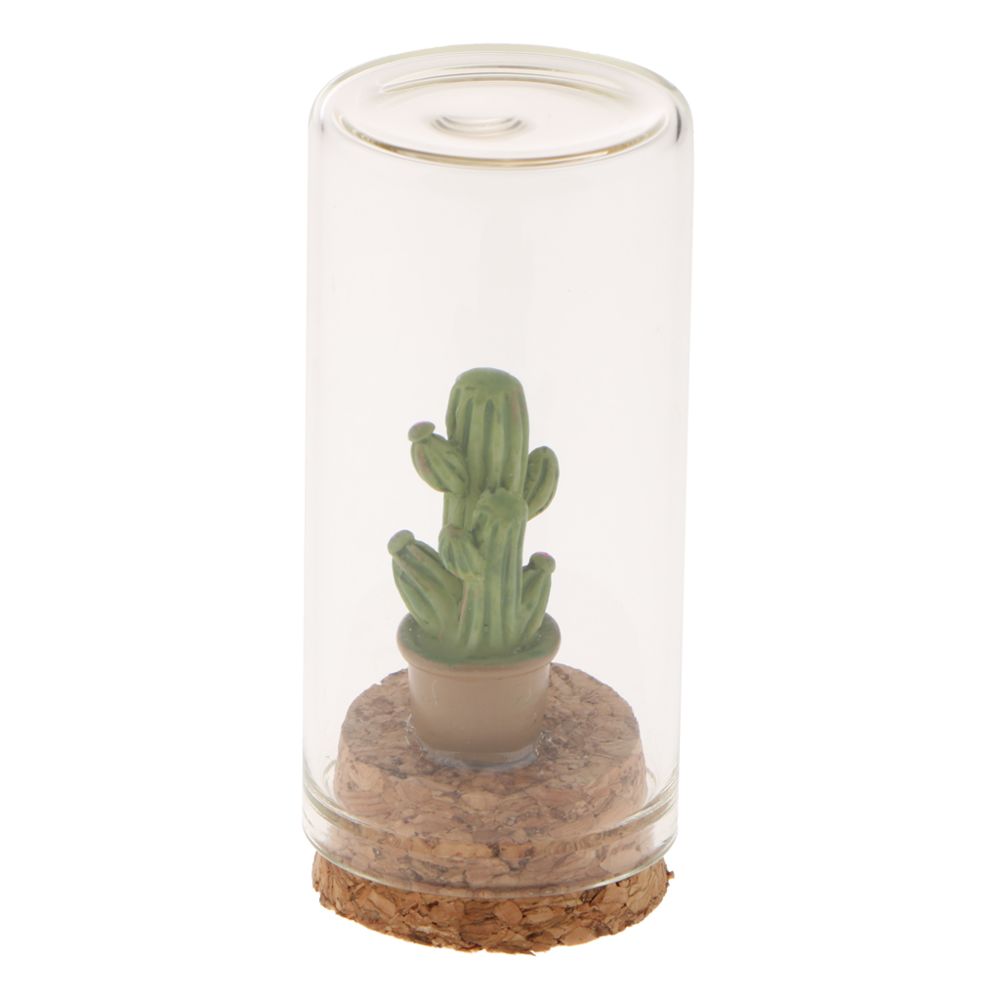 marque generique - verre décoratif terrarium cloche vitrine miniature jardin décoration de la maison 10 - Petite déco d'exterieur