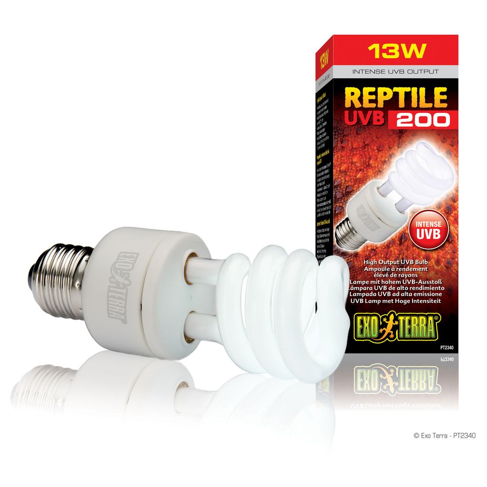 Exoterra - Exo Terra - Ampoule Reptile UVB 200 Fluocompact pour Terrarium - 13W - Accessoires de terrarium