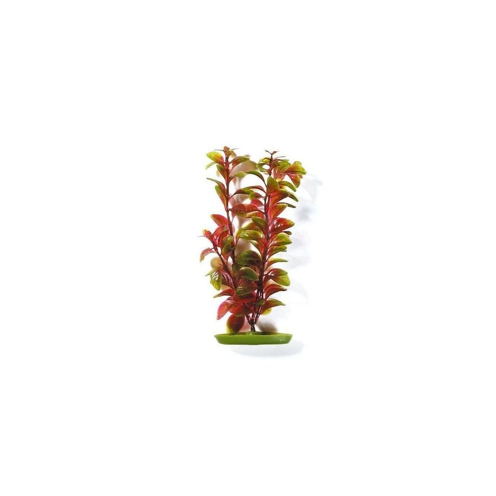 Aqua - AQUA Plantes artificielles Marina Red Ludwigia 20 cm - Plastiques - Vertes et rouges - Pour aquarium - Décoration aquarium
