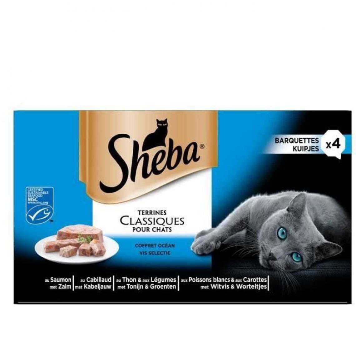 Sheba - Barquettes en terrine - Aux poissons 4 x 85 g (x6) - Alimentation humide pour chat