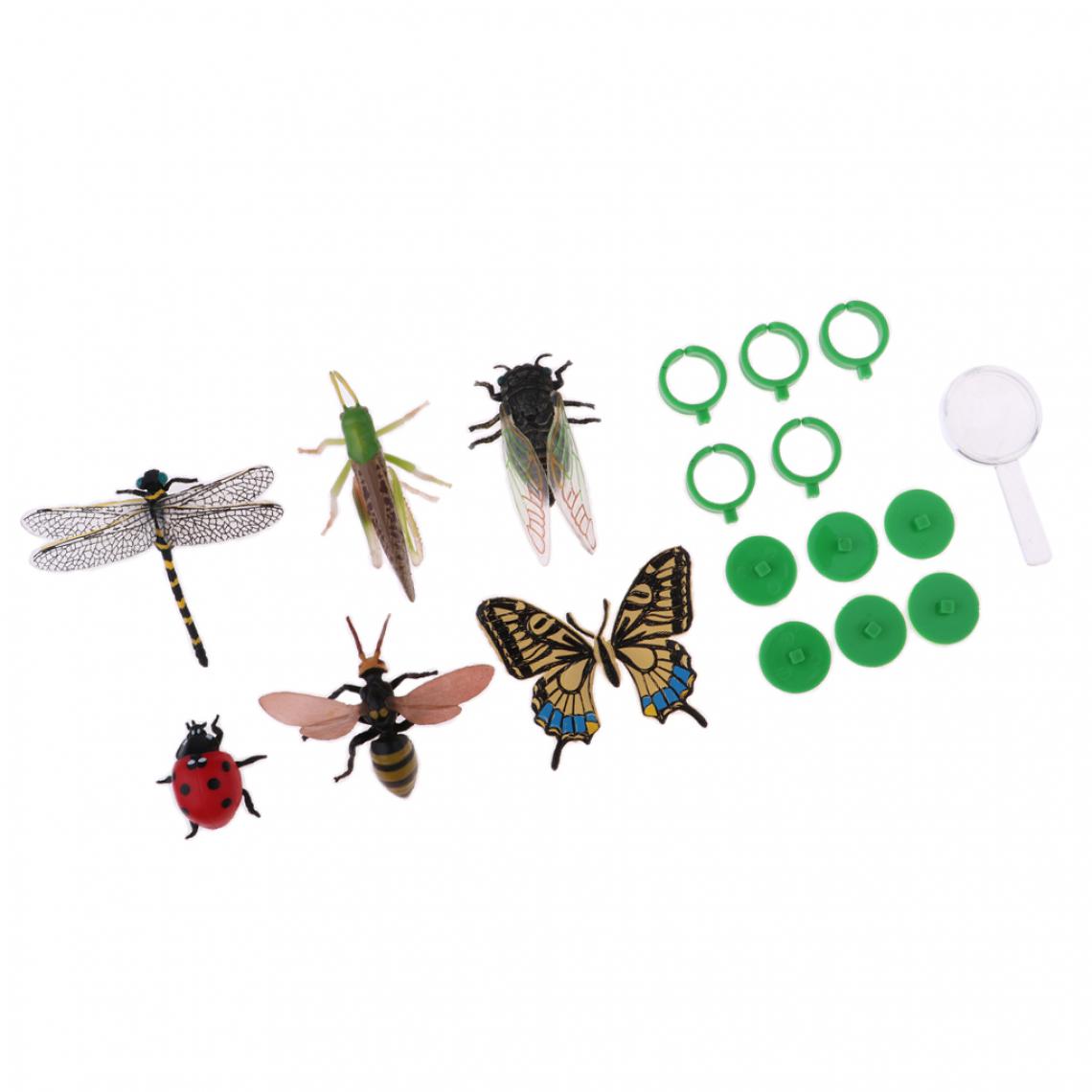 marque generique - 6 Pièces Mini Figurines Animaux Insectes en Plastique avec Loupe Piédestal et Anneau Science Modèle Enfants Jouets - Jouet pour chien