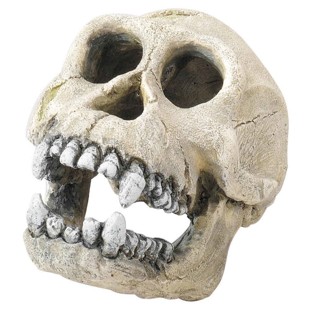 Europet Bernina - Décoration Skull-L Aqua Della pour Terrarium - Terrarium