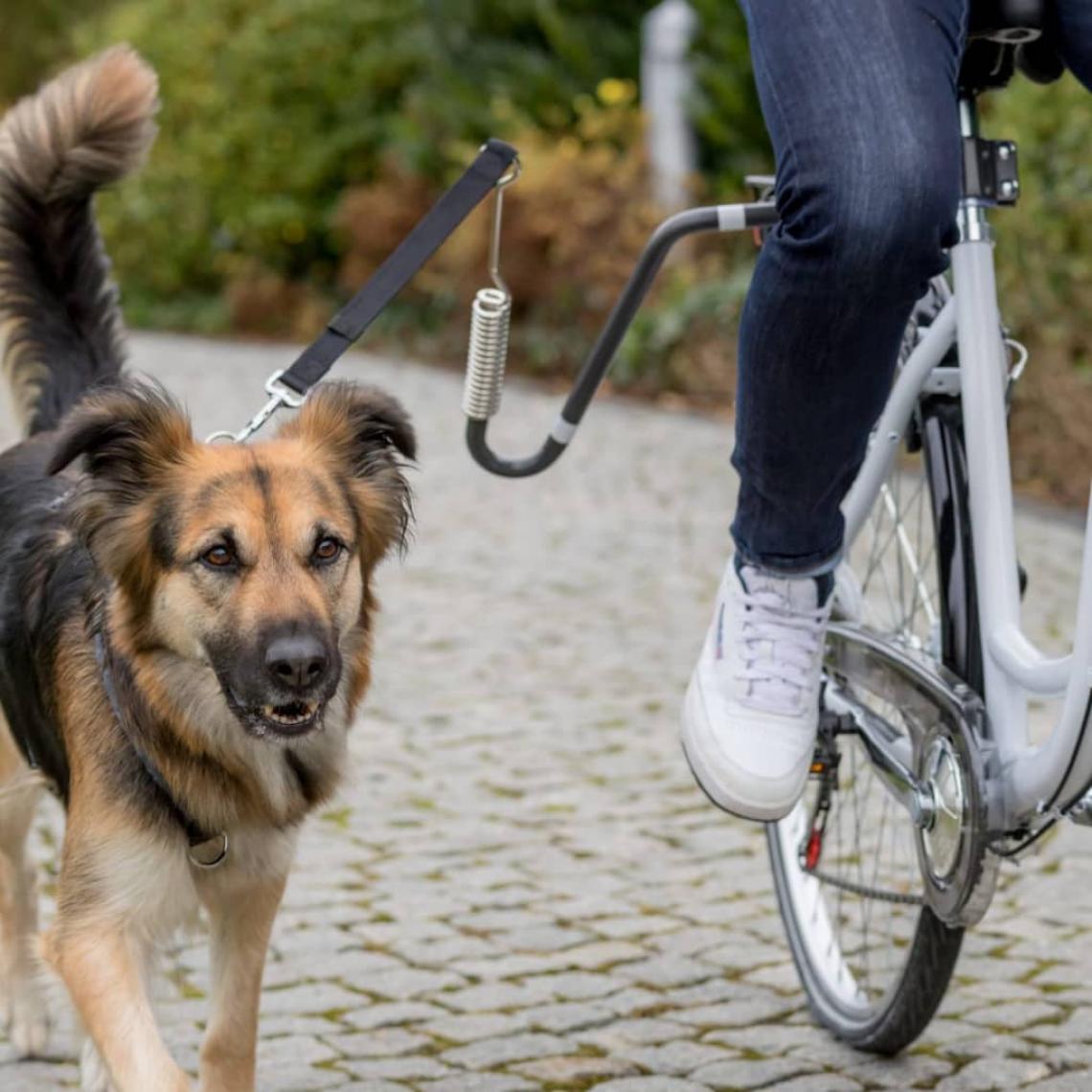 Trixie - TRIXIE Ensemble laisse de vélo pour chien Forme en U Noir - Laisse pour chien