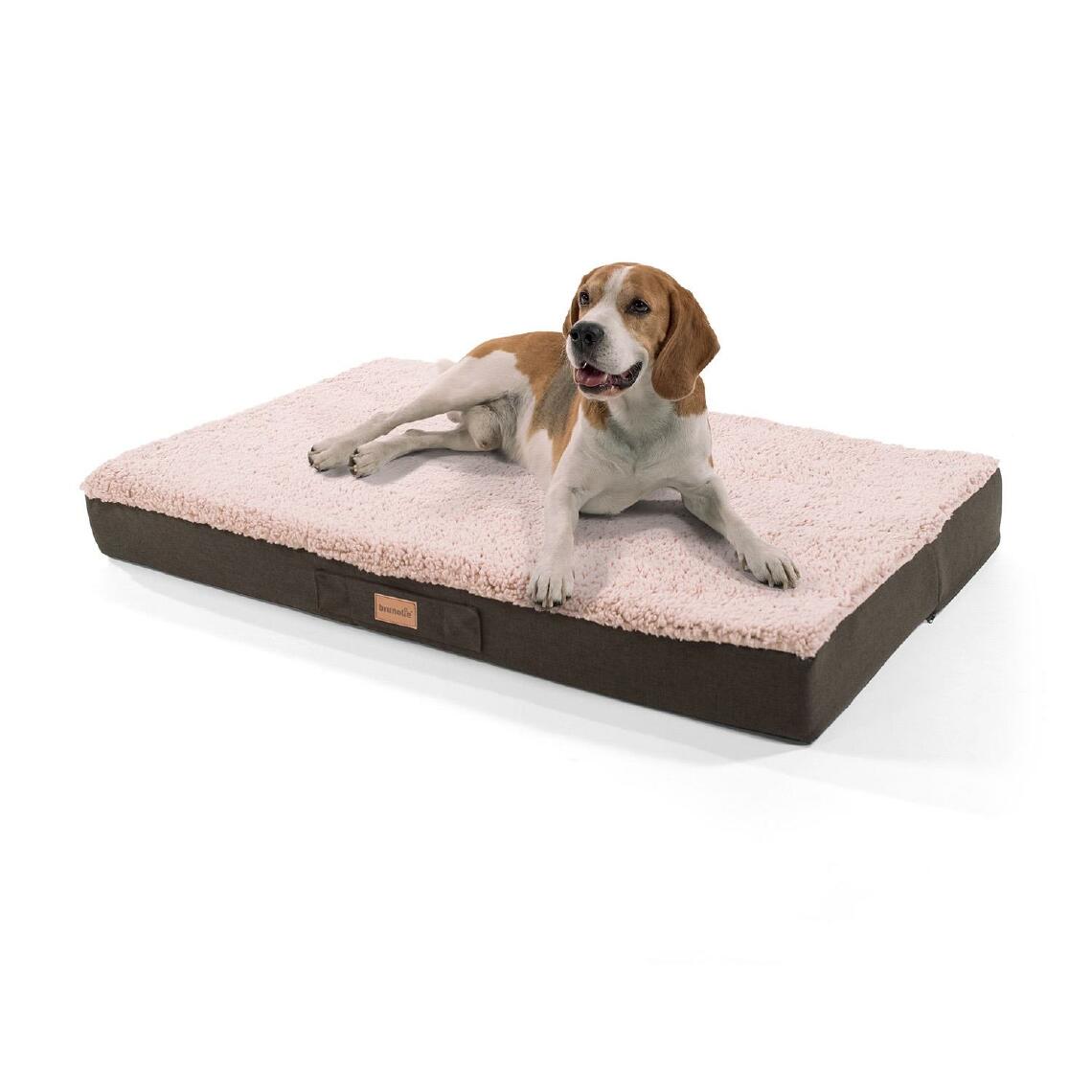 Brunolie - Lit pour chien - Brunolie Balu , lavable, orthopédique et antidérapant - Taille L (100 x 65 x 10 cm) - Beige - Corbeille pour chien