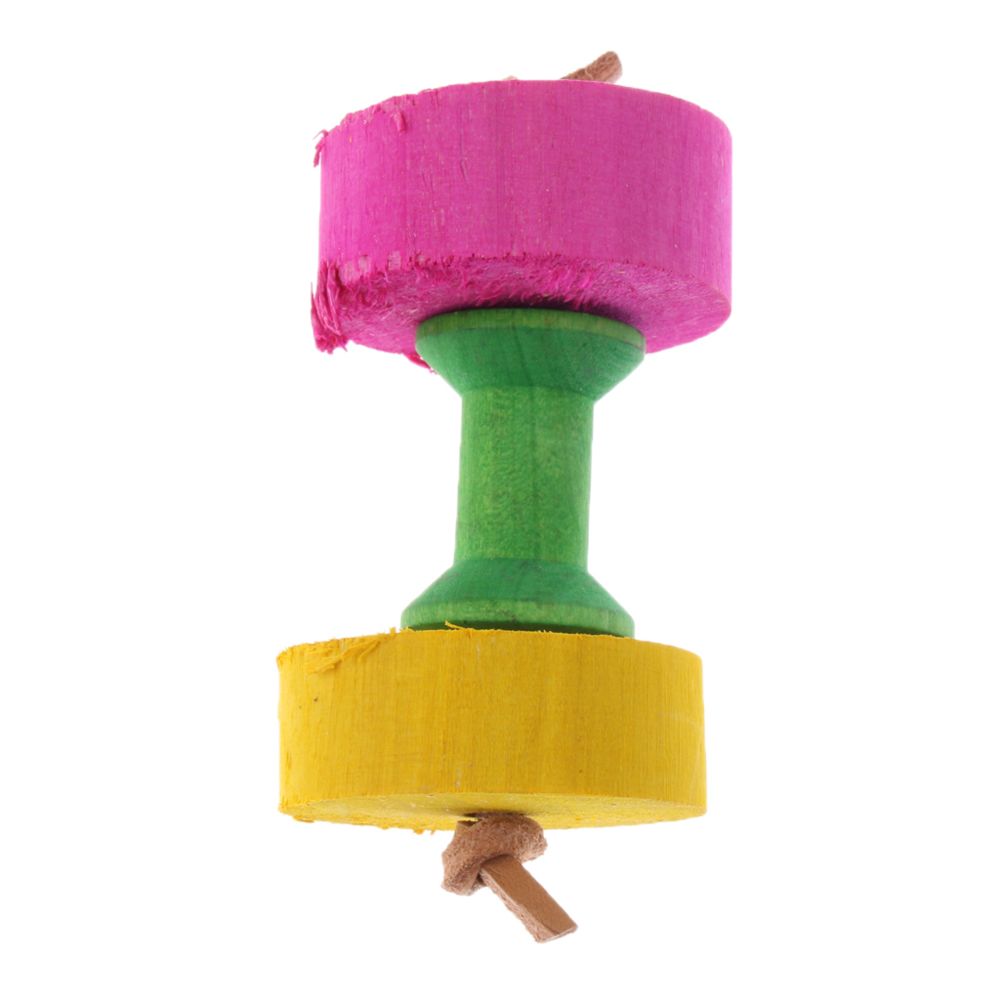 marque generique - oiseau de compagnie perche jouet bois stand jouet perroquet échelle oiseau fournitures jouets de couleur - Jouet pour chien