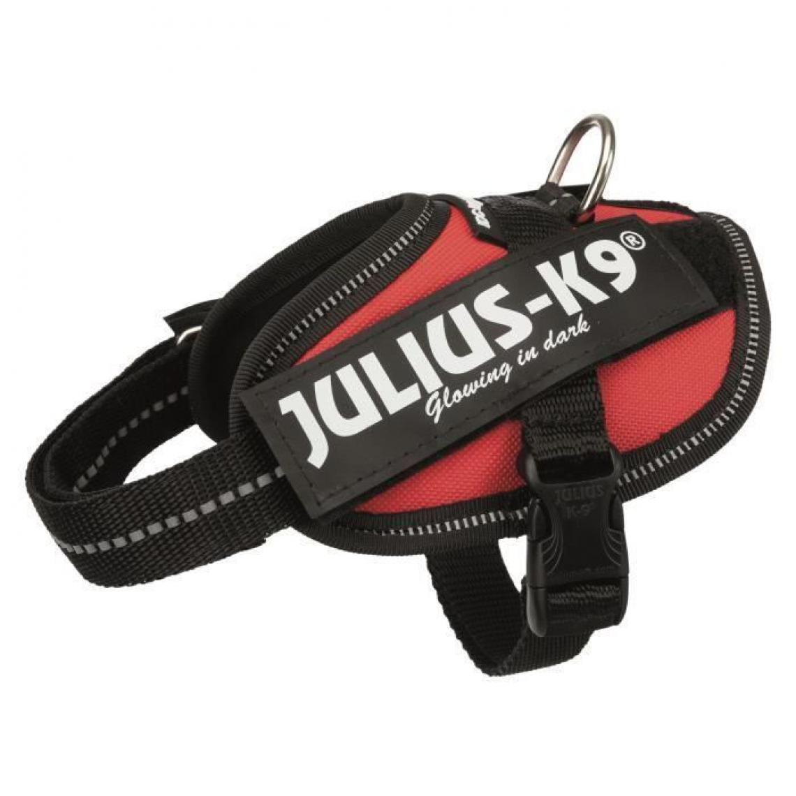 Julius K9 - JULIUS K9 Harnais Power IDC Baby 2-XS-S : 33-45 cm - 18 mm - Rouge - Pour chien - Equipement de transport pour chien