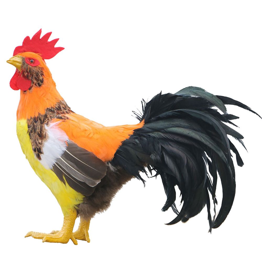 marque generique - réaliste animal mini animal plumes décor de jardin coq figure - Petite déco d'exterieur