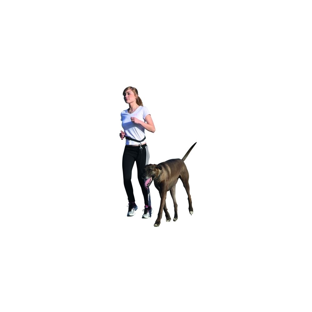 marque generique - Laisse de jogging Active avec ceinture - Laisse pour chien