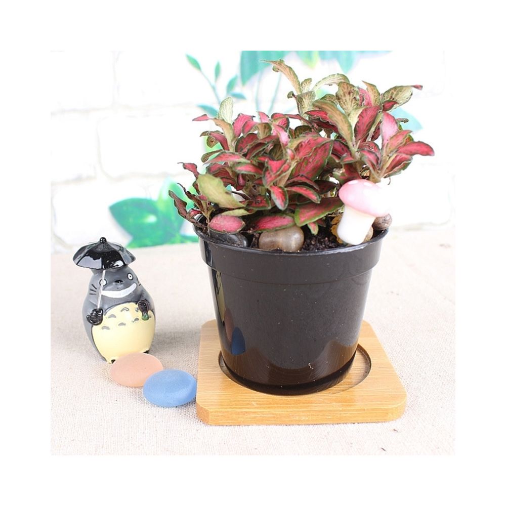 Wewoo - Pot de fleur noir Pots à fleurs en plastique plus épais petit bassin pépinière spécial disque mini de - Poterie, bac à fleurs