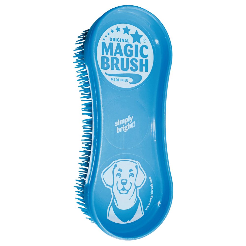 marque generique - Brosse pour Pelage Court et Moyen pour Chiens - Magic Brush - Bleu - Hygiène et soin pour chien