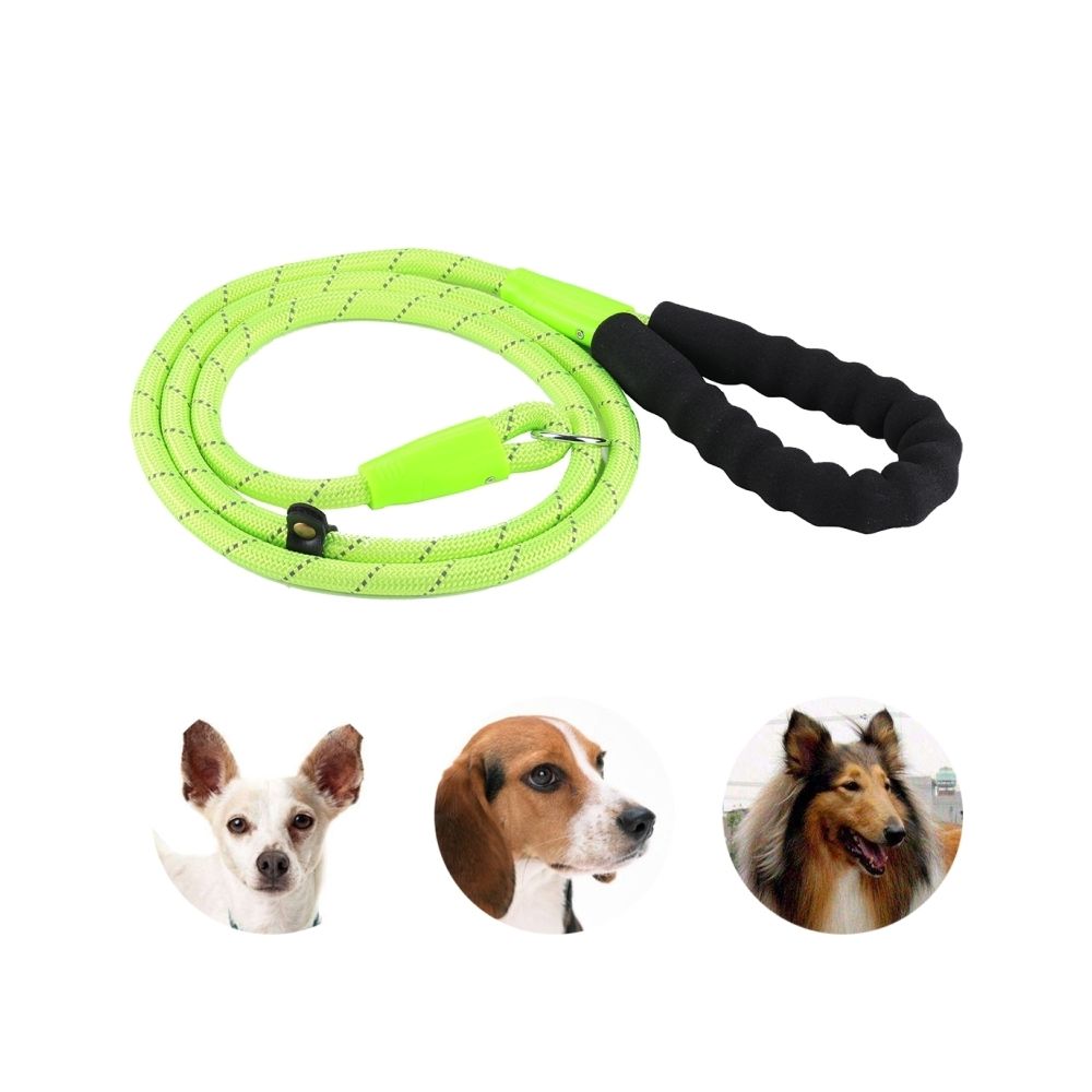Wewoo - Laisse réfléchissante de corde de traction de chien de compagnie avec la poignée audacieuse - Laisse pour chien