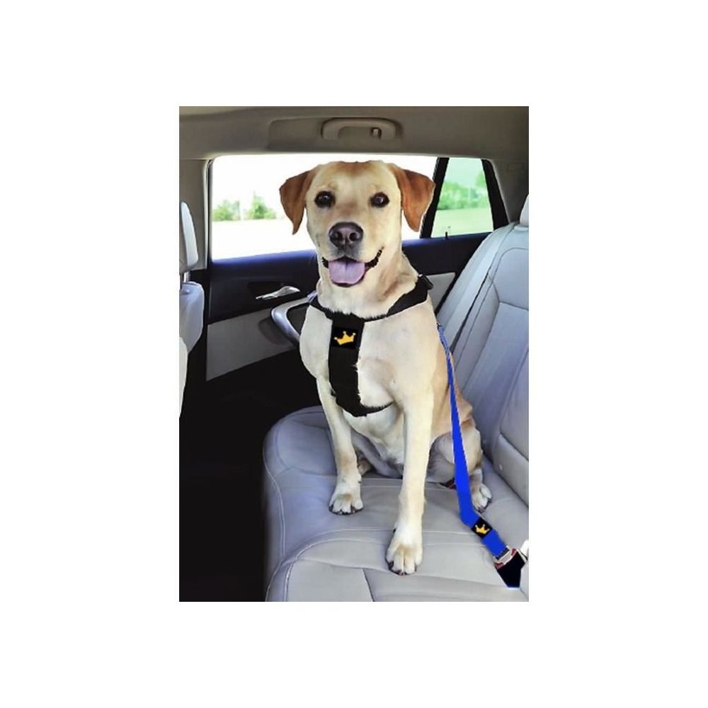 marque generique - HARNAIS ANIMAL Harnais de sécurité réglable pour chien - Equipement de transport pour chien