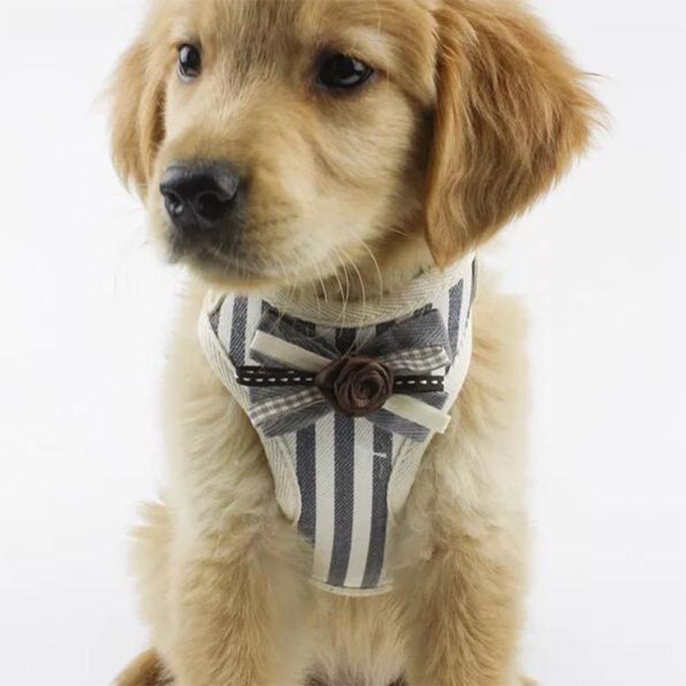 marque generique - Tissu Pet Dog Walking Harnais Harnais Chiot laisse collier de dressage Gris - L - Equipement de transport pour rongeur