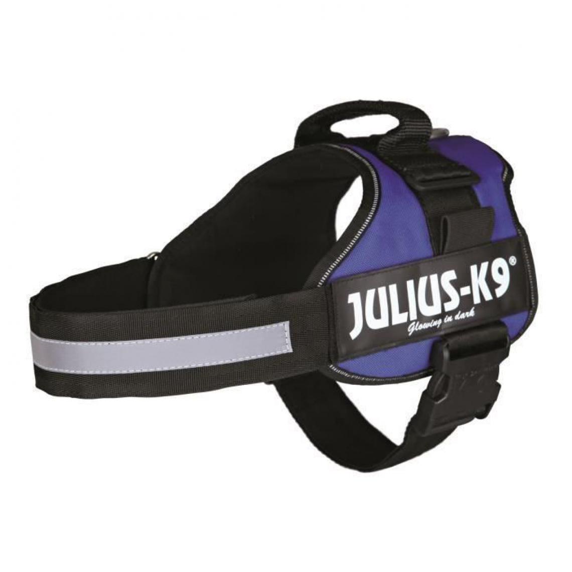 Julius K9 - Harnais Power Julius-K9 - 1 - L : 66-85 cm-50 mm - Bleu - Pour chien - Equipement de transport pour chien