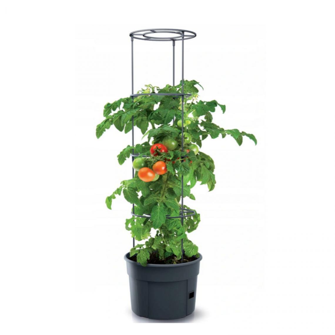 Sans Marque - Pot pour pied de tomates 12L Tomato Grower IPOM300-S433 - Poterie, bac à fleurs