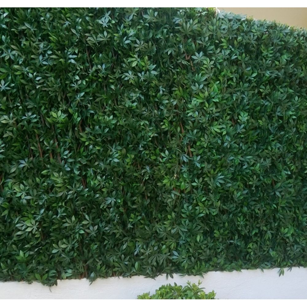 Pegane - Brise-vue treillis en feuilles vigne vierge verte en PVC - Dim : 1,00m x 2m - Claustras