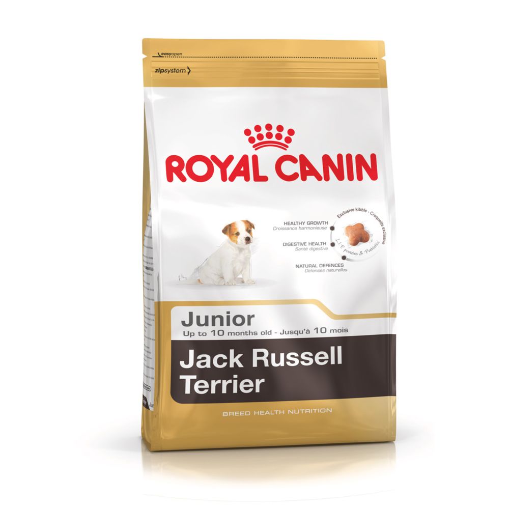 Royal Canin - Royal Canin Race Jack Russell Junior - Croquettes pour chien