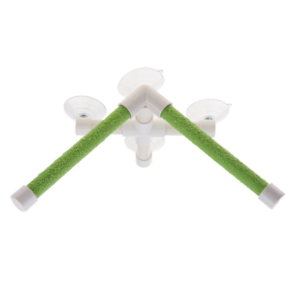 marque generique - Perroquet stand perche douche debout jouet avec ventouse aléatoire double pôle - Perchoir oiseaux