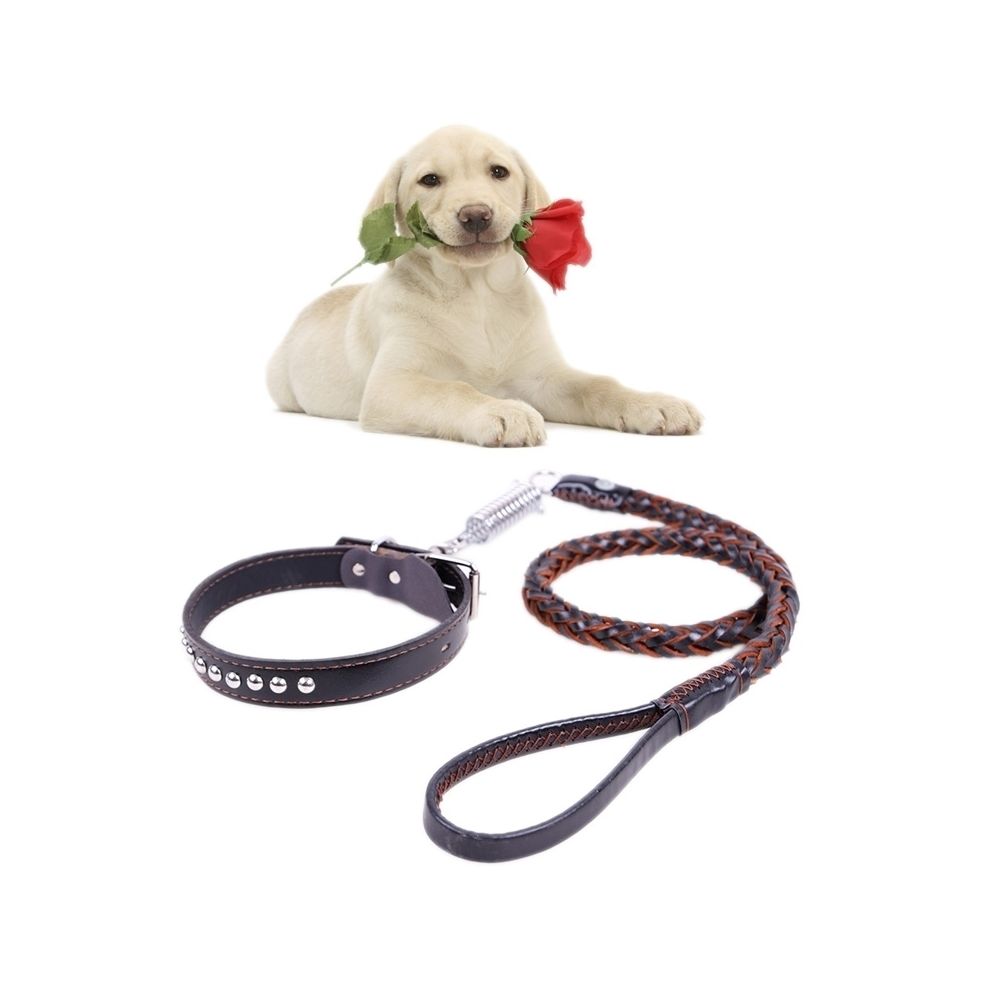 Wewoo - Pour les chiens de taille noir moyenne et grande, M, corde Longueur: 128cm de col: 32-44cm Ceinture de traction en cuir de vache collier de chien télescopique, adapté - Laisse pour chien