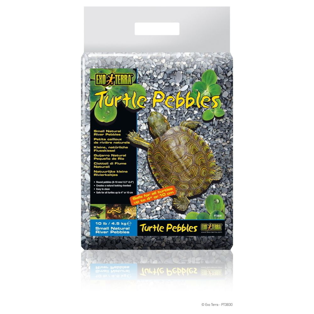 Exo Terra - Petit Cailloux de Rivière Turtle Pebbles pour Tortue - Exo Terra - 4,5Kg - Terrarium