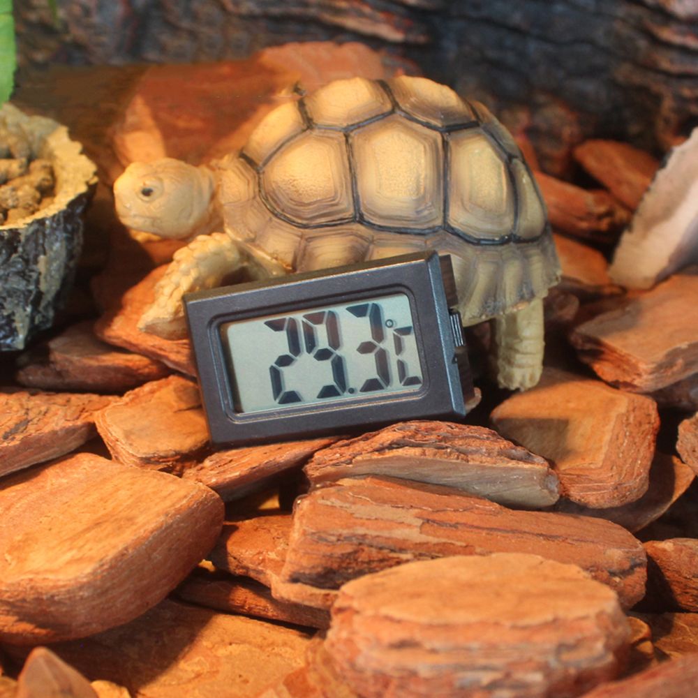 marque generique - thermomètre à reptile - Alimentation reptile