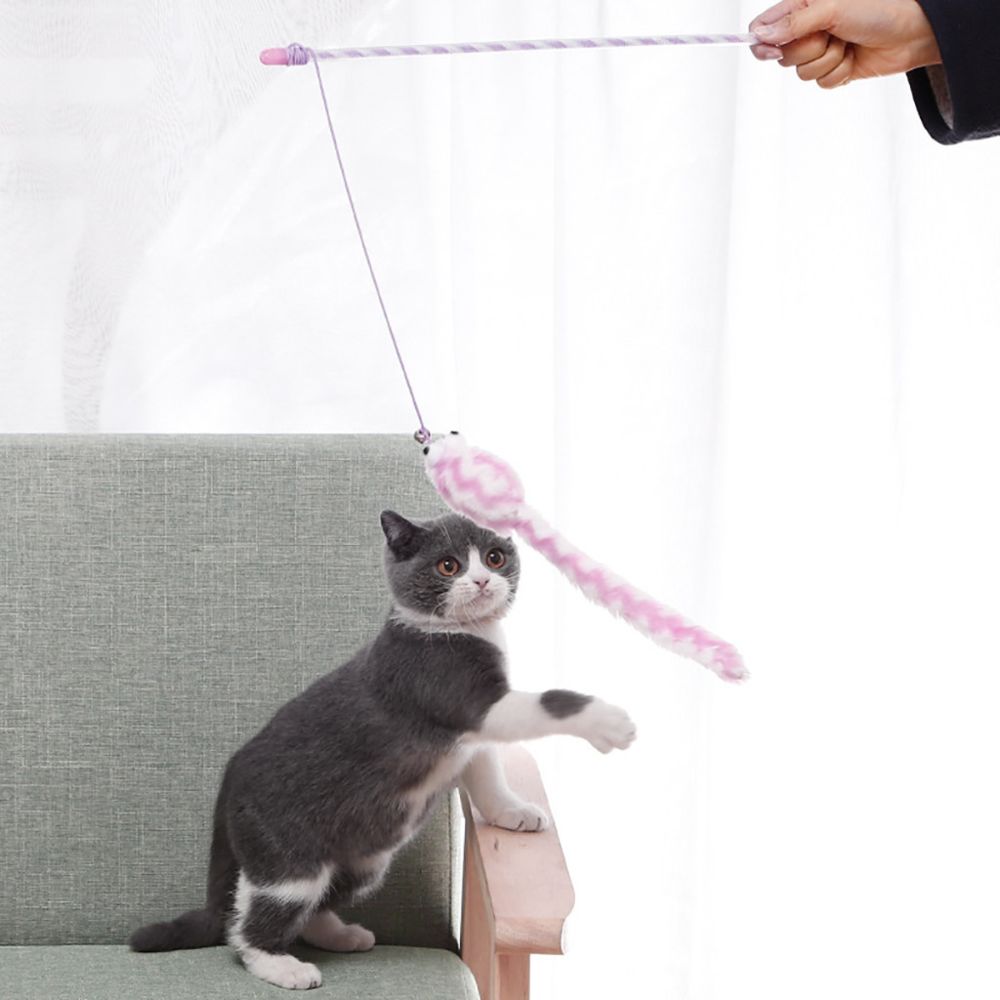 Generic - 1 PC Pet Cat Wand Interaction Drôle Souris Forme Tiges Bâton Décompression Jouets - Jouet pour chien