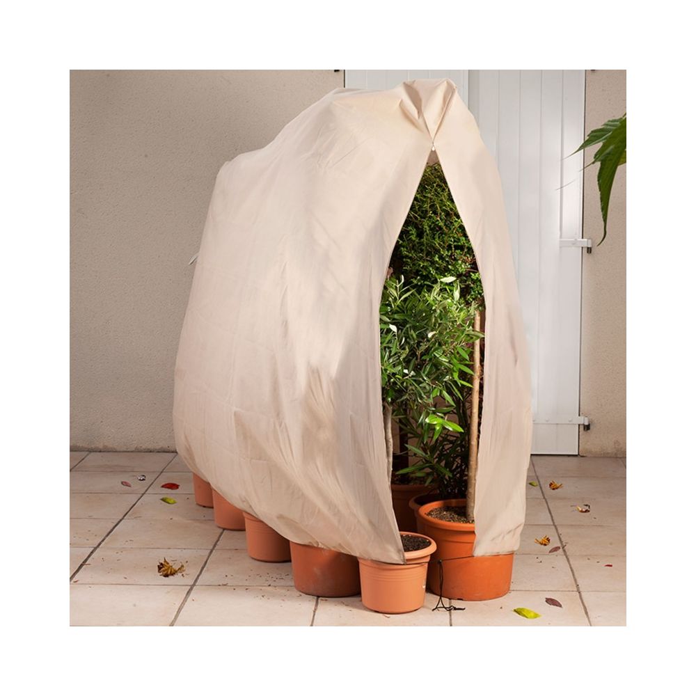 Idmarket - Housse d'hivernage pour plante et arbuste 200 x 240 cm - Serres en verre
