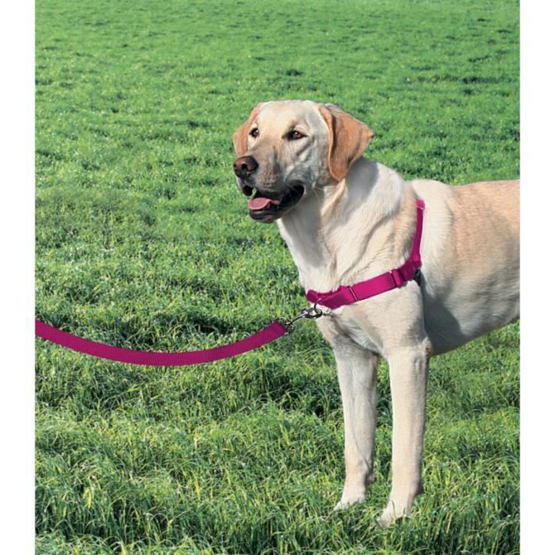 Easy Walk - EASY WALK Harnais L - Framboise - Pour chien - Equipement de transport pour chien