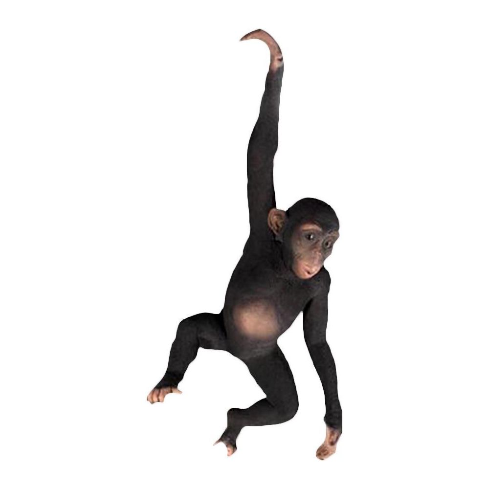 Texartes - Chimpanzé avec bras suspendu en résine 92 cm - Petite déco d'exterieur