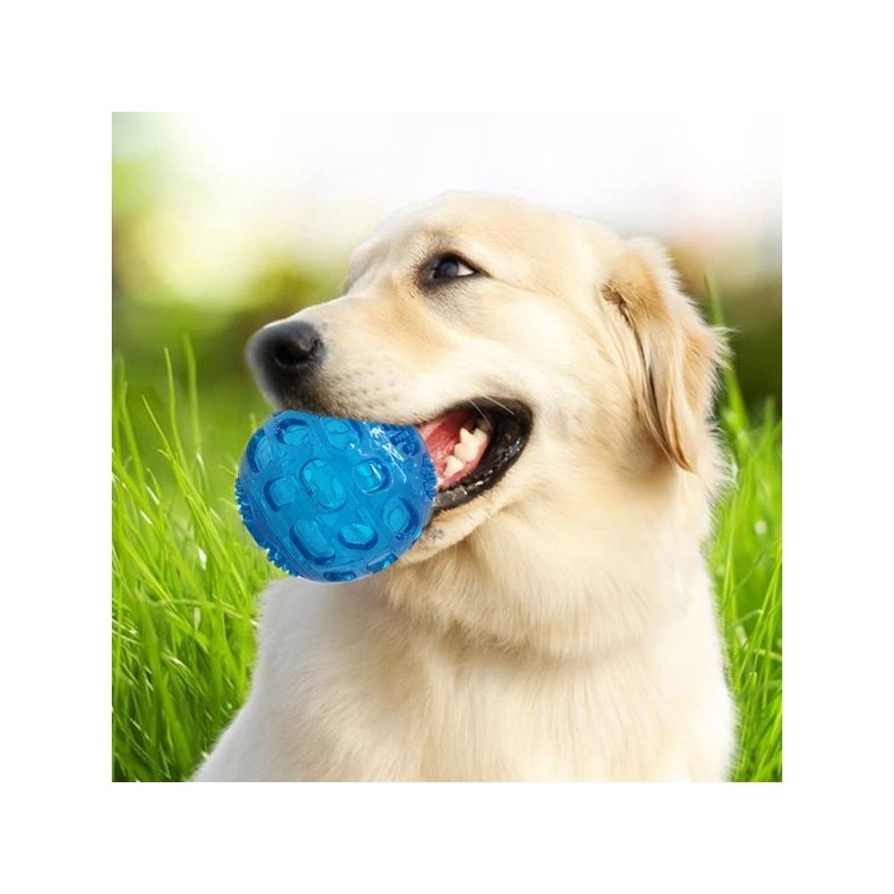 Wewoo - Jouet pour Animaux de sondage d'animal familier balle élastique Oren Retriever Puppy Molar morsure résistant à la dent jouet, taille: 8 * 8 cm, livraison aléatoire de couleur - Jouet pour chien