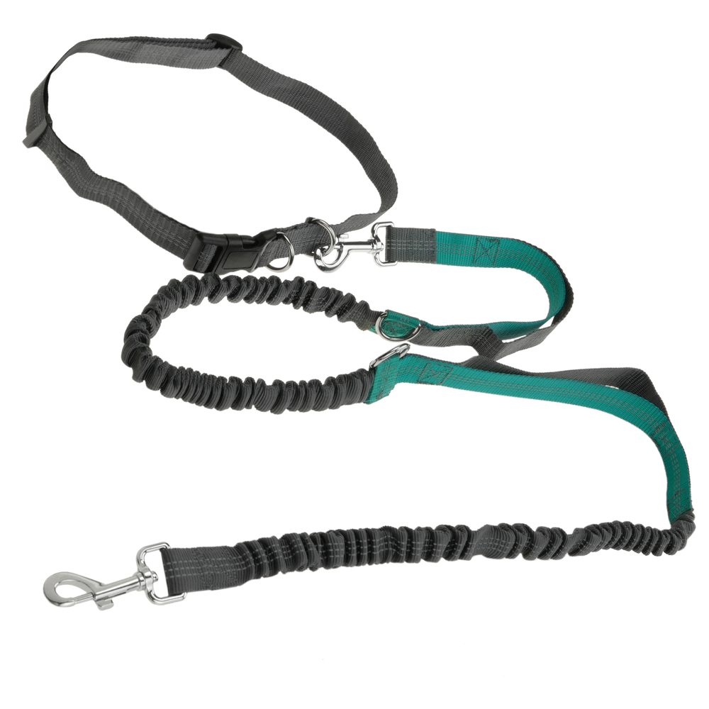 Primematik - Laisse ajustable pour chiens de jogging 160-220 cm. Ceinture mains libres élastique et réfléchissante avec ceinture - Equipement de transport pour chat