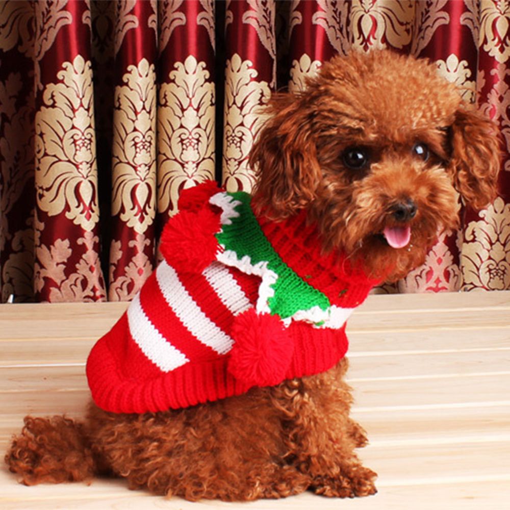 marque generique - Animal De Compagnie Chien Chat Vêtements Noël Manteau Pull Tricoté Vêtements De Coton Ouaté Rouge M - Vêtement pour chien