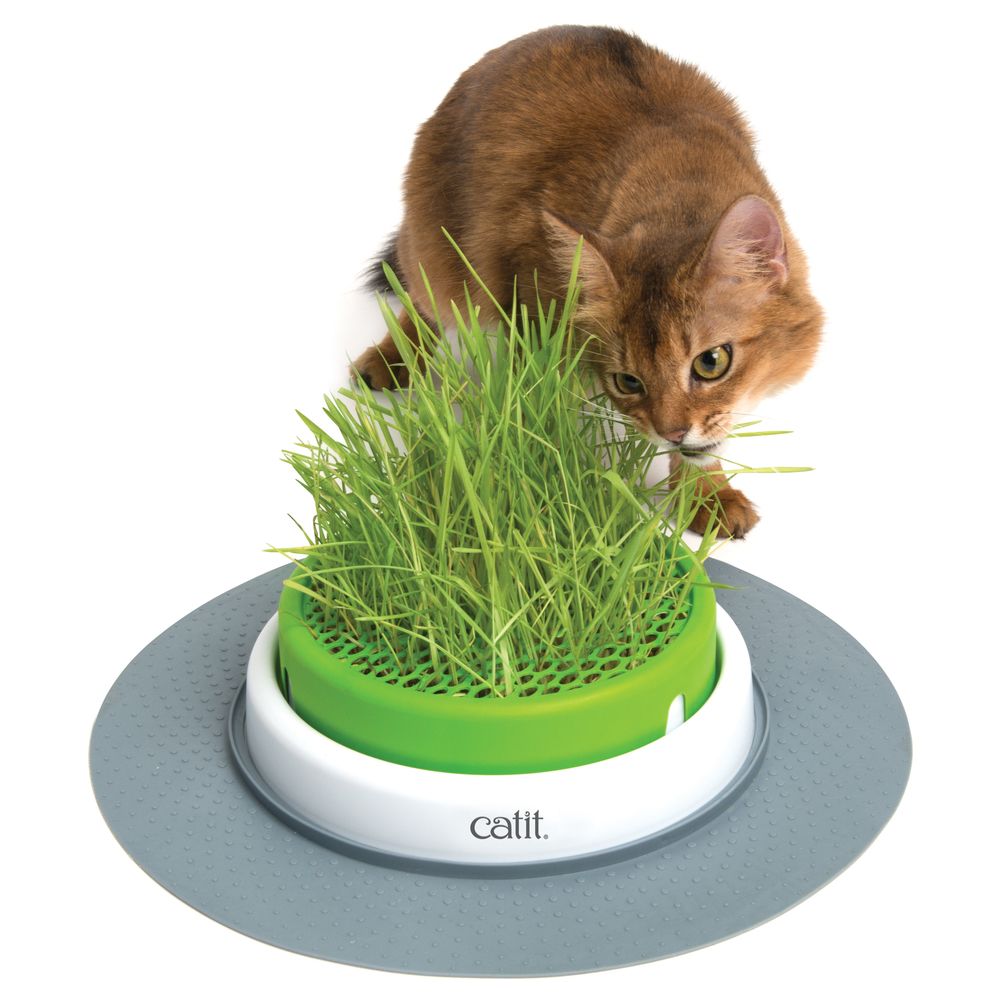 Cat It Sense - Jardin d'Herbe à Chat Senses 2.0 - Cat It - Friandise pour chat