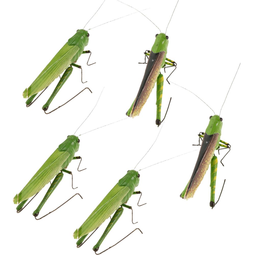 marque generique - 5pcs simulation modèle d'insecte artificiel enfants jouets éducatifs hercules scarabée - Petite déco d'exterieur