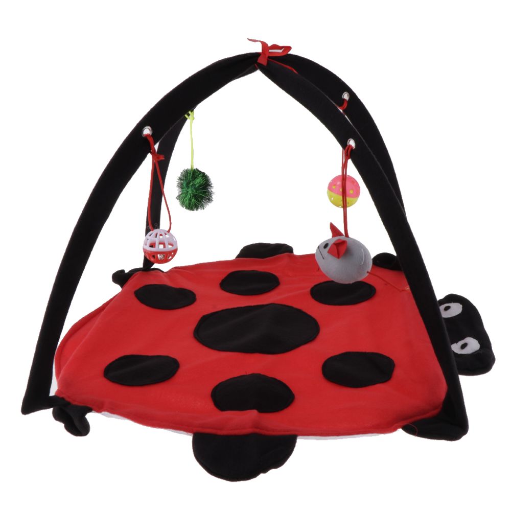 marque generique - chat pliable tente playhouse pour animaux de compagnie kitty chiot hamac avec dangle jouet # 1 - Jouet pour chien