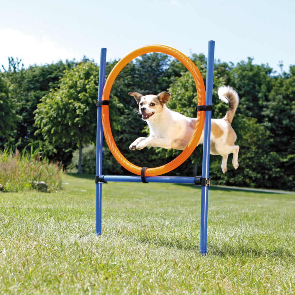 Trixie - TRIXIE Cerceau d'agilité pour chiens 115 x 3cm plastique - Jouet pour chien