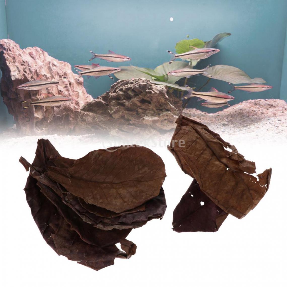 marque generique - 10 pièces Mini Catappa feuilles d'amandes indiennes, créer un environnement de forêt tropicale tropicale pour Betta & Gouramis, 18x10cm - Traitement de l'eau pour aquarium
