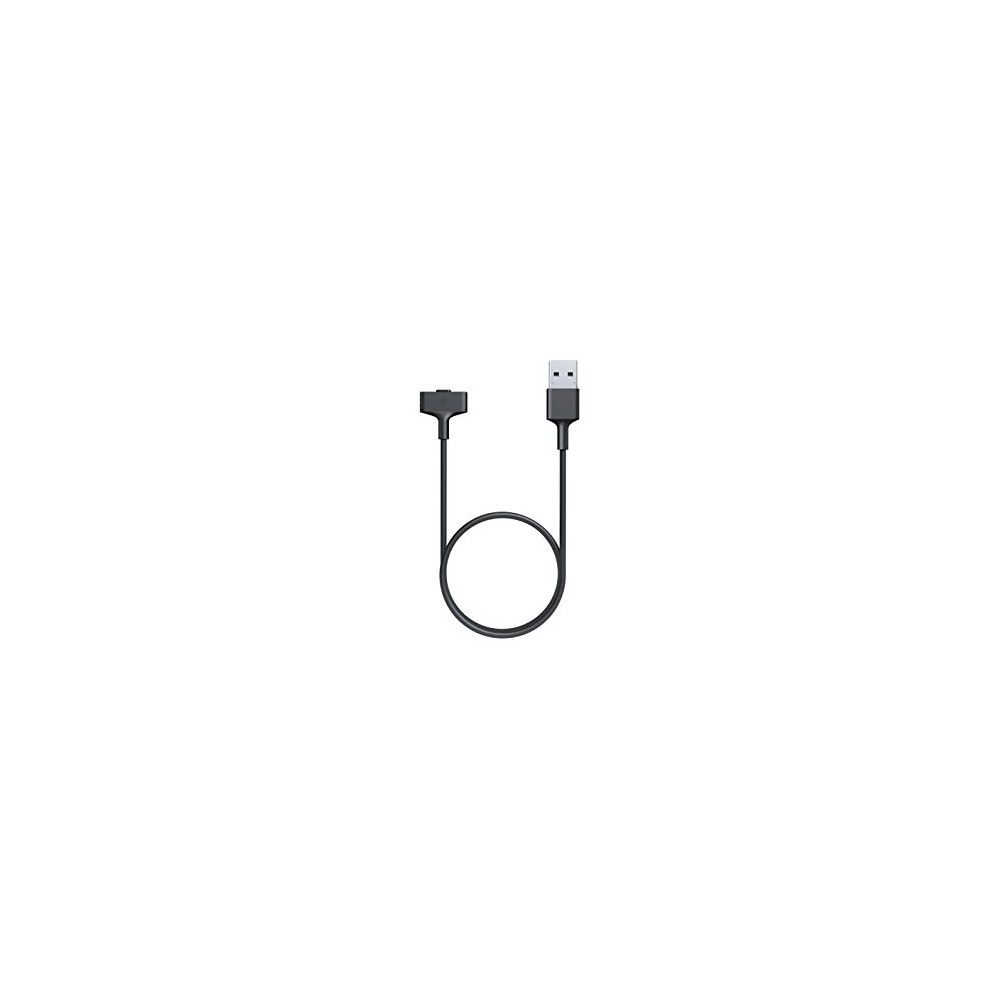 Fitbit - Ionic Retail Charging Cable - Bracelet connecté