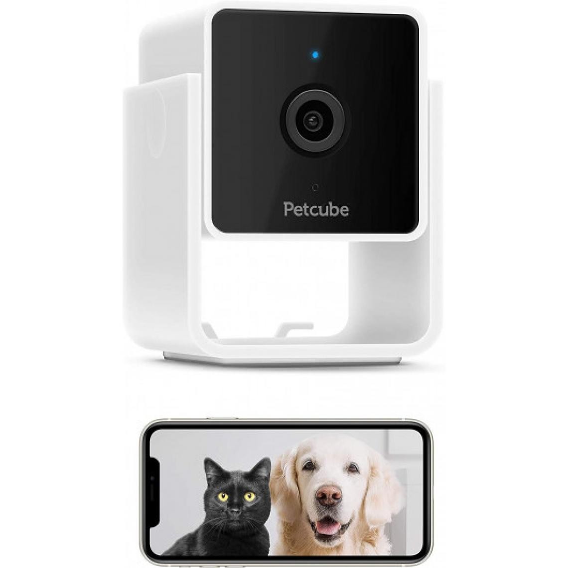 Ofs Selection - Petcube, la caméra pour chien et chat - Caméra de surveillance connectée